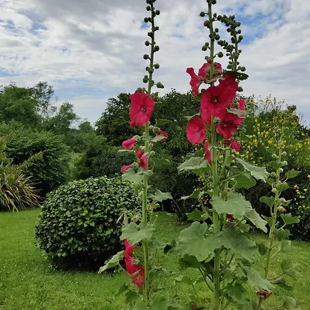La 154 - Second Souffle - * Cherbourg-en-Cotentin