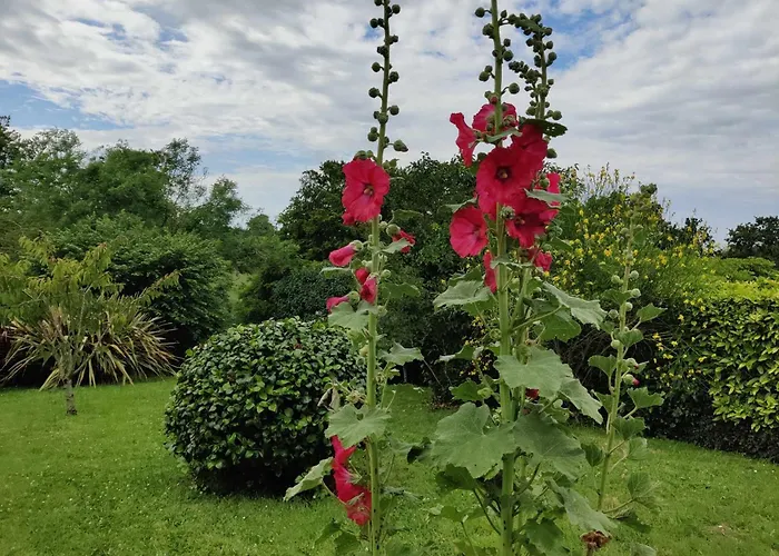 La 154 - Second Souffle - * Cherbourg-en-Cotentin